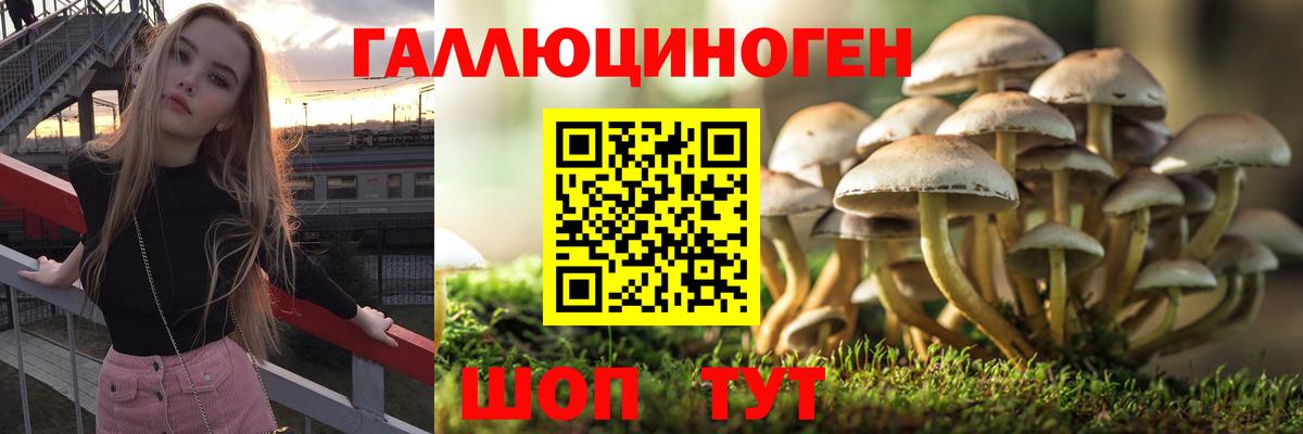 Галлюциногенные грибы GOLDEN TEACHER Тобольск